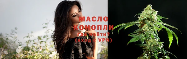 гидра Заволжск