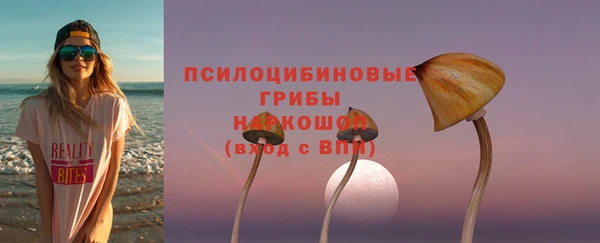 гидра Заволжск