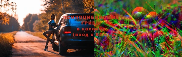 гашиш Заводоуковск